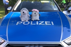 Erzi und Wiesi sind auch mit dabei