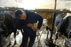 Herr Herhammer zeigt uns die Kauplatte einer Kuh