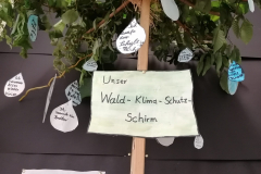 2-Schutz-Schirm-Detailbild-1-scaled